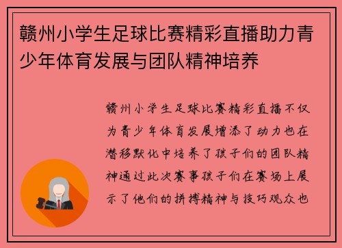 赣州小学生足球比赛精彩直播助力青少年体育发展与团队精神培养